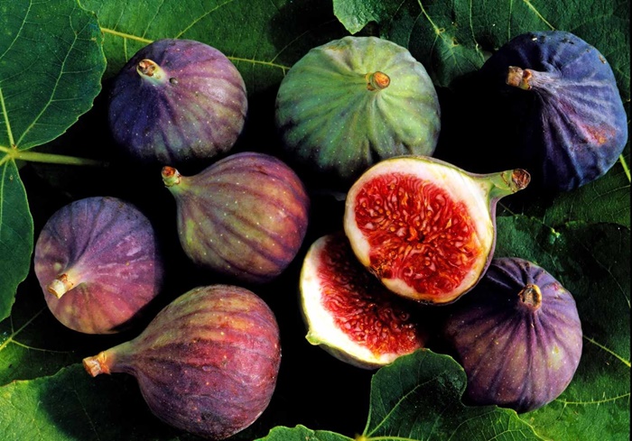 Can pregnant women eat figs