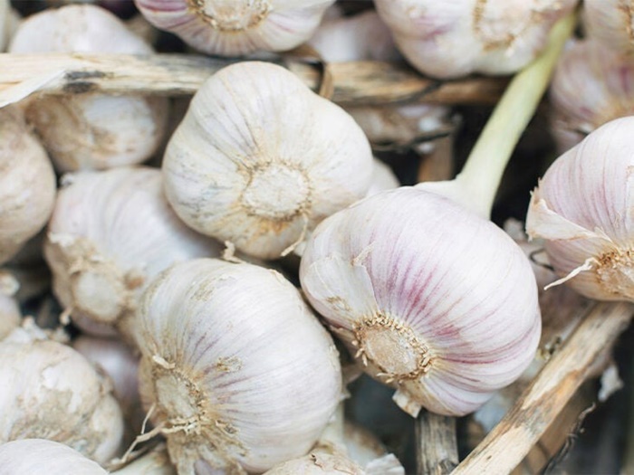 Can pregnant women eat garlic